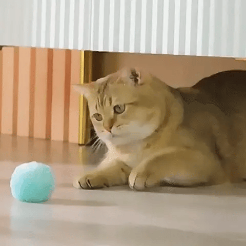 🐶PELOTA INTELIGENTE PARA MASCOTA🎮