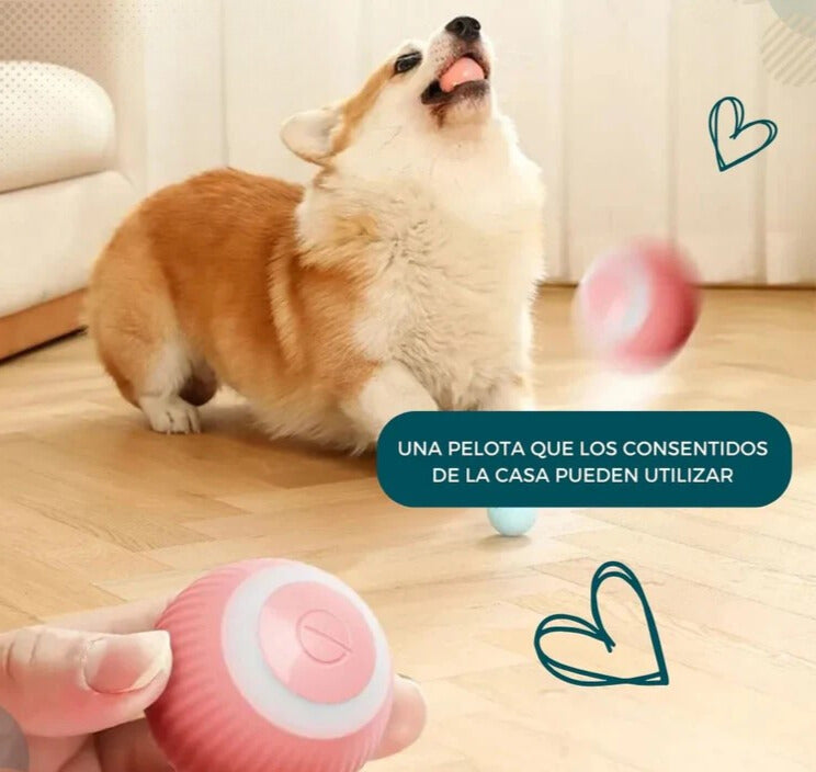 🐶PELOTA INTELIGENTE PARA MASCOTA🎮