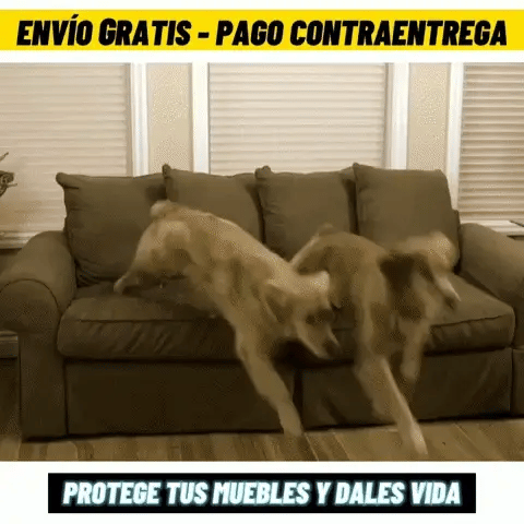 🛋️ PROTECTOR SOFÁS 2 PUESTOS🌟